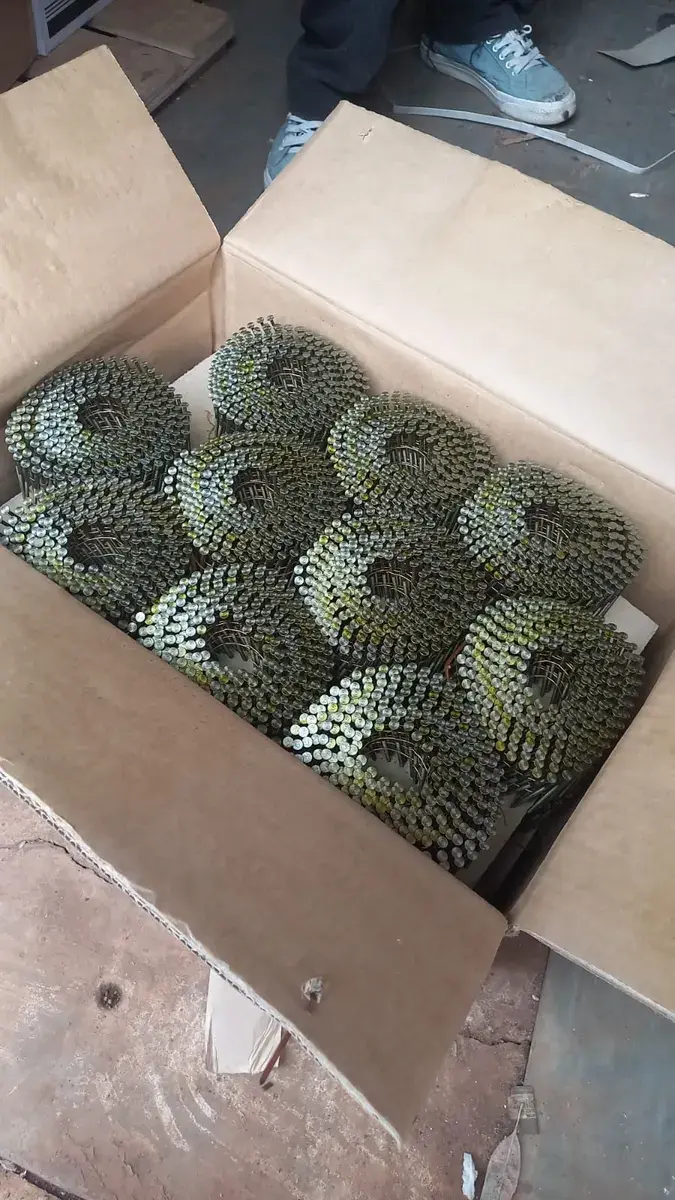 Coil nails 65 mm (4950 nails)